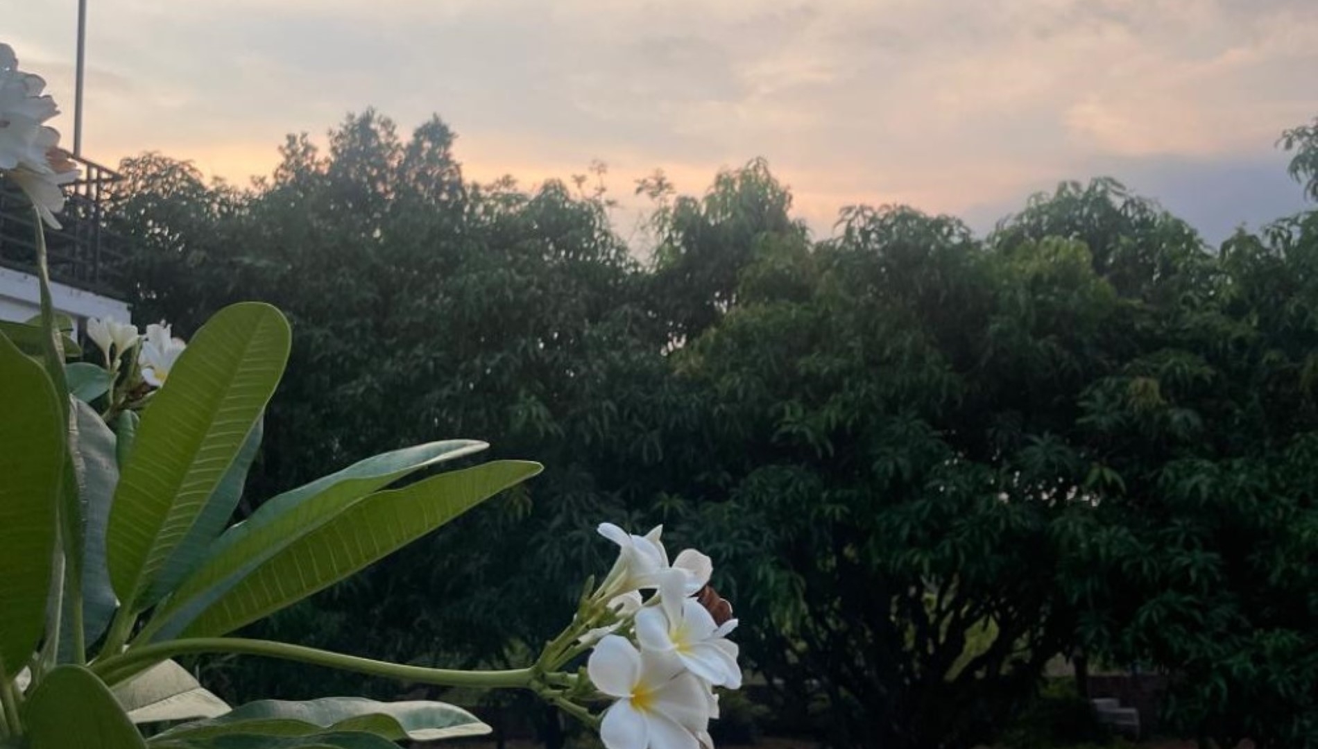 Hotel Slider Pictures